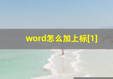 word怎么加上标[1]